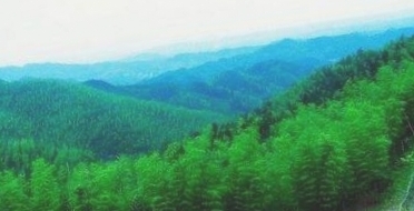 九峰山森林生态公园