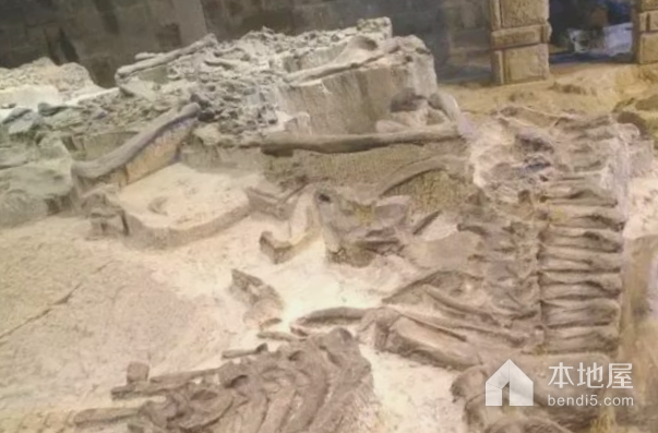 大山铺恐龙化石群埋藏遗址