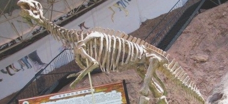 刘家峡恐龙博物馆