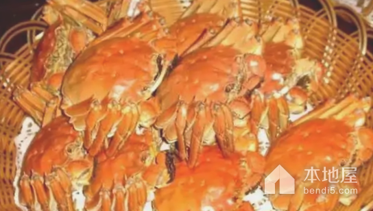 金丝海蟹