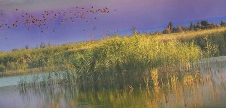 玛纳斯国家湿地公园