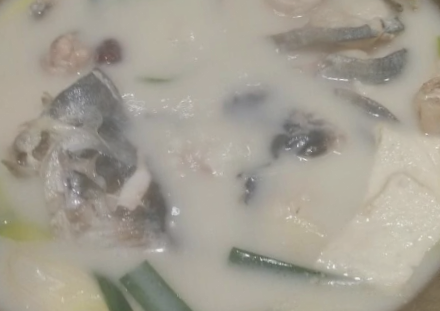 奶汁肥王鱼