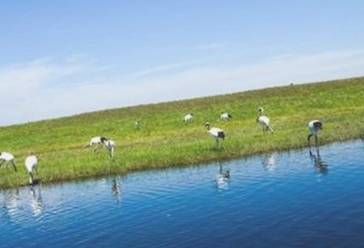 乌裕尔河自然保护区