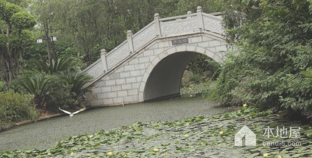 鑫峰步云桥