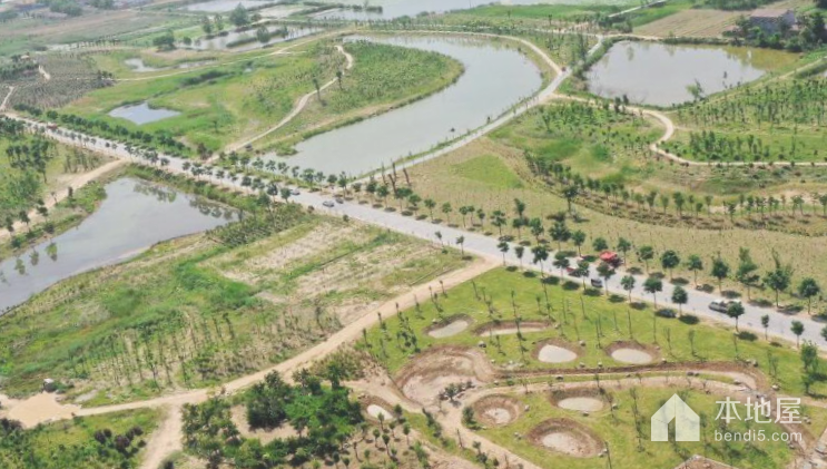虞城周商永运河国家湿地公园