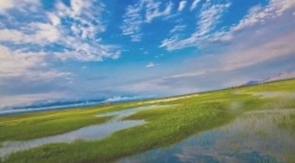 大同桑干河国家湿地公园