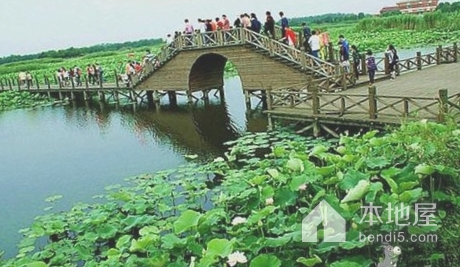 中湖国家湿地公园