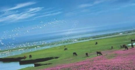 鄱阳湖国家湿地公园