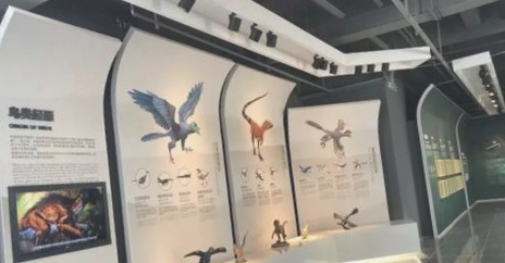 秦皇岛鸟类博物馆