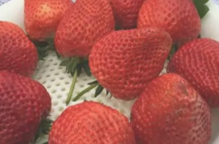 大店草莓