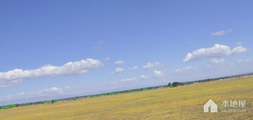 板兰格草场