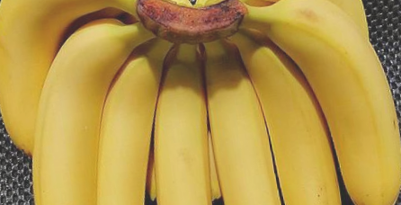 万顷沙香蕉