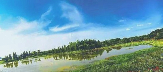 金银湖湿地公园