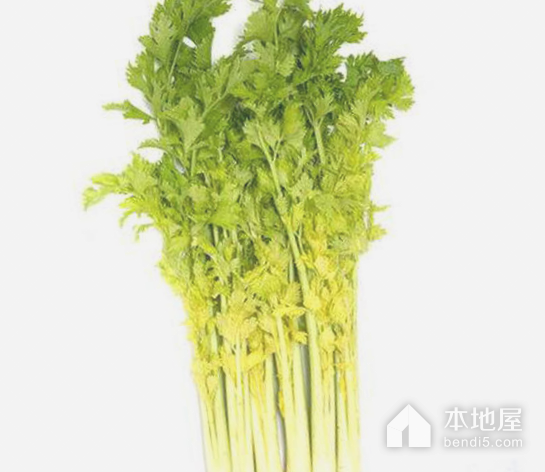 桂河芹菜