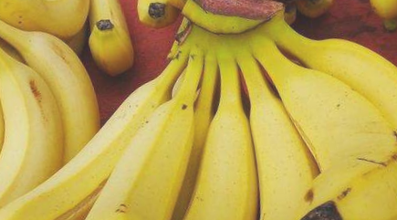 荷塘帝心欢香蕉