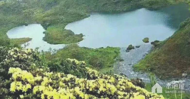 七莲湖
