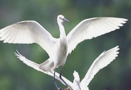 白头鹤国家级自然保护区