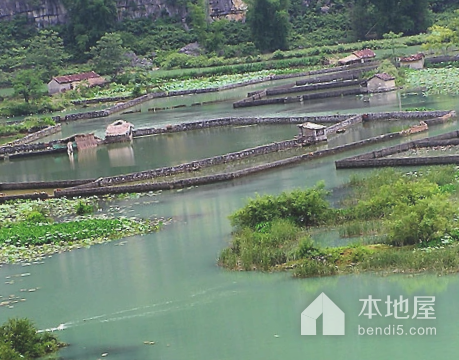 平果县旅游景点大全图片