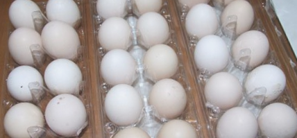 “绿健”牌营养鸡蛋