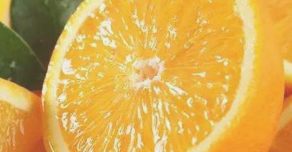 鹿寨蜜橙