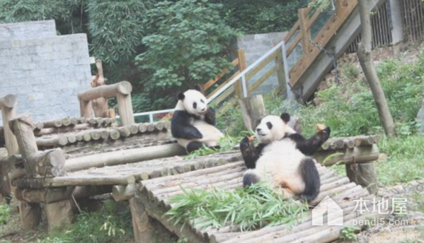桂林动物园