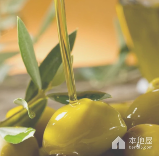 广元橄榄油