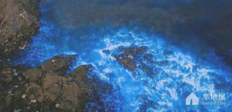 大黑石荧光海滩2021图片
