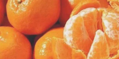 武陵柑橘