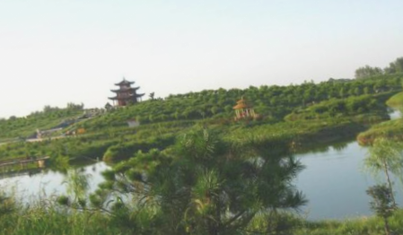 香海禅林古枣生态园