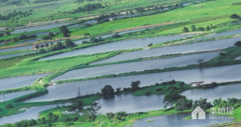 米埔湿地
