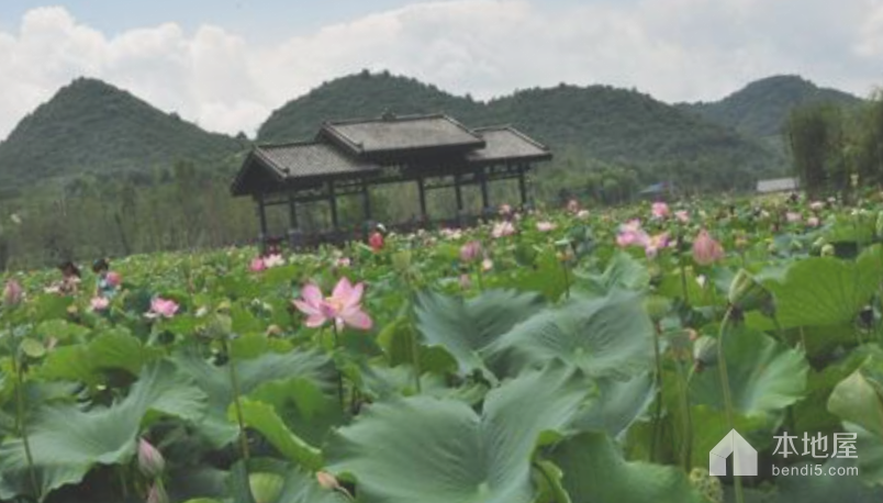 白云蓬莱仙界·休闲农业旅游区