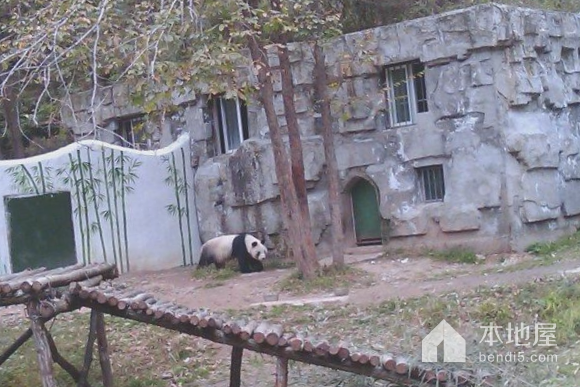 佛坪大坪峪大熊猫生态旅游景区
