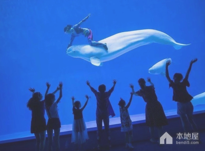 西游记文化体验园·龙宫大白鲸世界