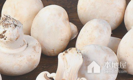 新泰双孢蘑菇