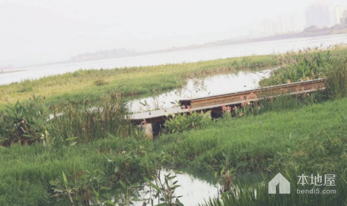 席吴二洲生态湿地公园