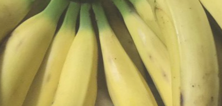 茂生香蕉