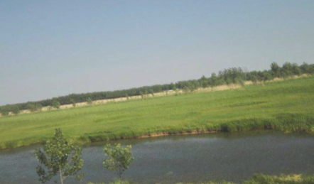 文峪河国家湿地公园