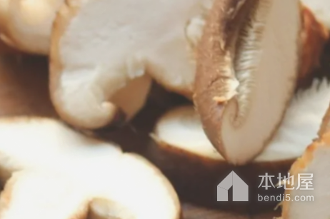高山香菇