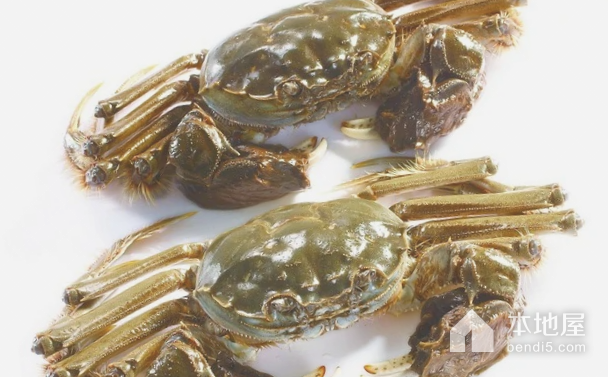 螃蟹品种大全中国图片