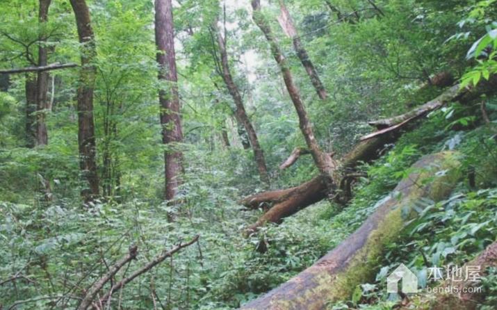 木林子国家级自然保护区