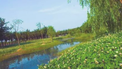 彭泽长江省级湿地公园