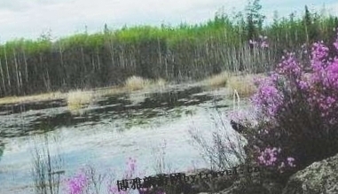 小兴安岭库尔滨湿地保护区