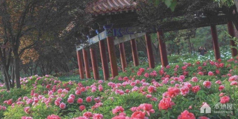 隋唐城遗址植物园图片图片
