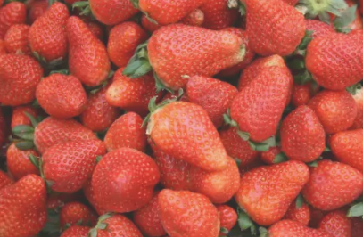 成安草莓