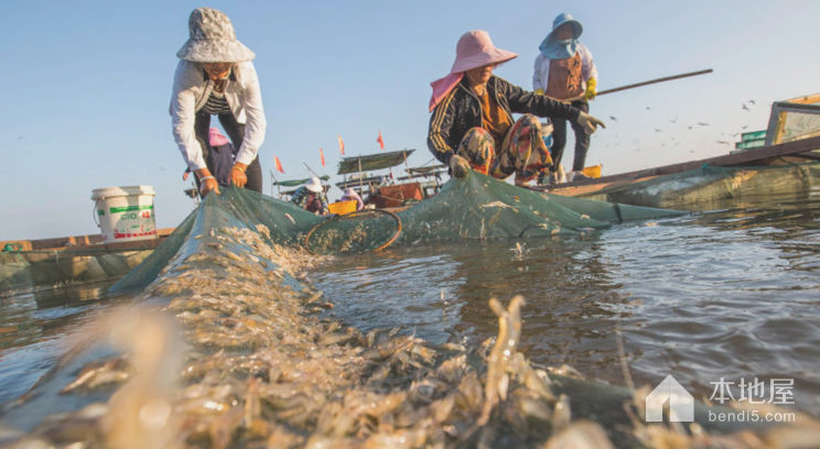 鄱阳湖传统渔业生产习俗