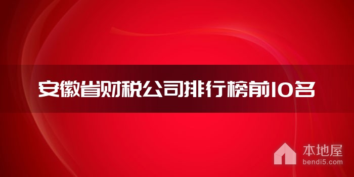 安徽省财税公司排行榜前10名