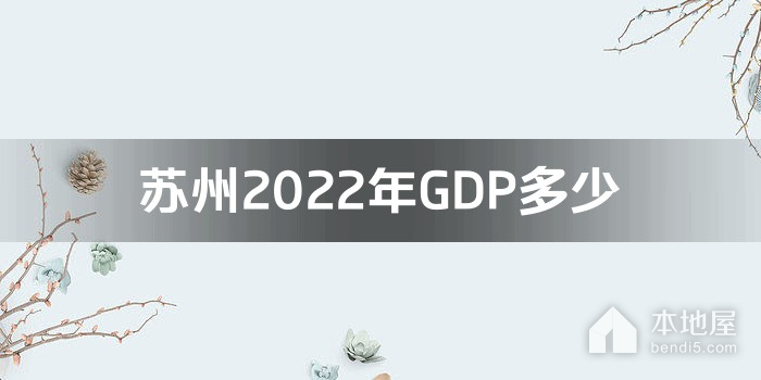 苏州2022年GDP多少