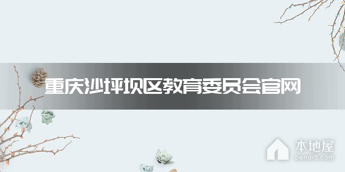重庆沙坪坝区教育委员会官网