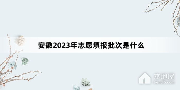 安徽2023年志愿填报批次是什么