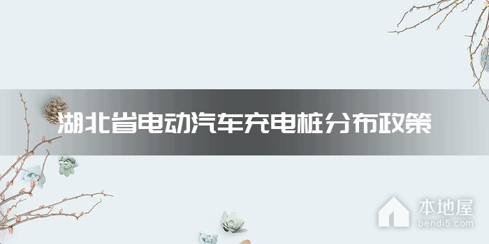 湖北省电动汽车充电桩分布政策